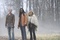 image 35 - Twilight - Chapitre 1 : Fascination