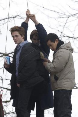 image 9 - Twilight - Chapitre 1 : Fascination