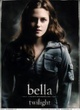 portrait 1 - Twilight - Chapitre 1 : Fascination