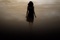 affiche twilight2 1
