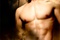new moon poster taylor lautner