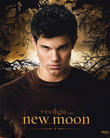 new moon taylor lautner affiche