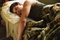 taylor lautner dormant