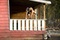 taylor lautner en plein saut