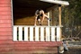 taylor lautner en plein saut