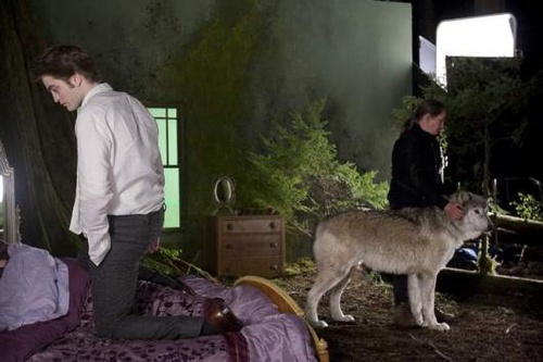 tournage robert pattinson