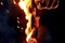 Affiche du film Ghost Rider : L'Esprit de vengeance 