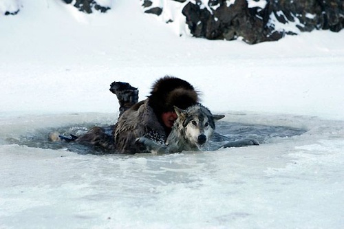 photo 13 du film loup