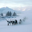 photo 15 du film loup