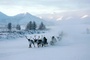 photo 15 du film loup