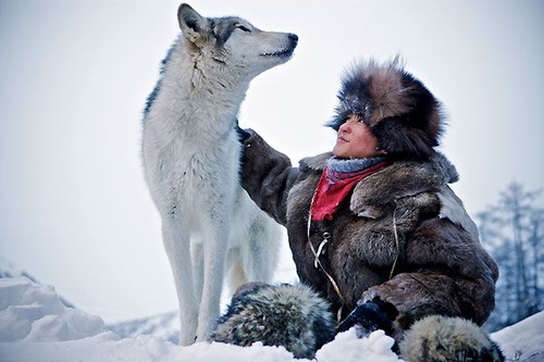 photo du film loup