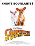 Affiche du film Le Chihuahua de Beverly Hills
