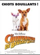 Affiche du film Le Chihuahua de Beverly Hills