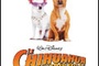 Affiche du film Le Chihuahua de Beverly Hills
