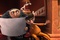 gru et victor