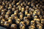 tous les amis de gru