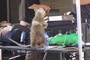 photo de tournage 7