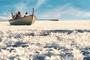 photo du film le passeur d aurore