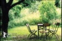 Affiche du film Ferien, chronique d'un été