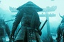 des guerriers