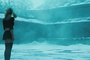 emily browning dans son monde imaginaire