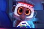 un mignon petit singe