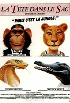 Affiche miniature du film La tête dans le sac