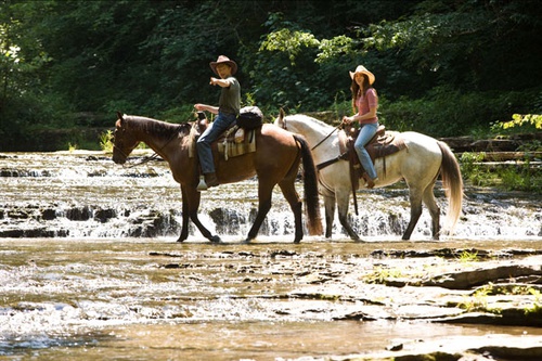 miley cyrus et lucas till a cheval