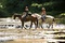 miley cyrus et lucas till a cheval