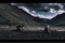 photo 3 du film valhalla rising le guerrier silencieux