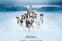 Affiche du film Antartica, prisonniers du froid