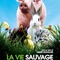 Affiche du film La Vie sauvage des animaux domestiques - La Vie sauvage des animaux domestiques 