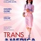 Affiche du film Transamerica - Transamerica 