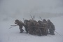 des hommes dans la neige