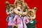 Alvin et les Chipmunks, Brittany