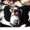 Affiche du film Cet obscur objet du désir - Cet obscur objet du désir 