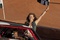 julianne-hough-footloose-jpg
