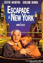 Affiche miniature du film Escapade à New-York