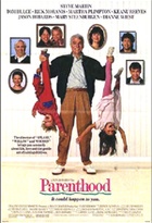Affiche miniature du film Portrait craché d'une famille modèle