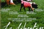Affiche du film Le libertin