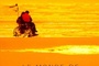 Affiche du film Le monde de Marty