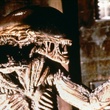 un-alien-jpg