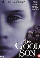 Affiche miniature du film Le bon fils