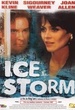 The Ice Storm 