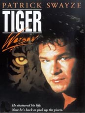 Affiche du film Tiger Warsaw