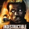 Affiche du film Indestructible - Indestructible 