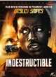 Affiche du film Indestructible