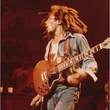 bob-marley-et-sa-guitare-jpg
