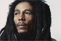 le-chanteur-de-reggae-jpg