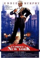 Affiche miniature du film Un Prince à New York
